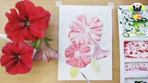 How to draw Dreams Red Petunia Flower - Watercolor