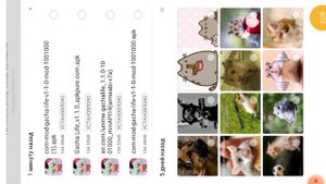 Как скачать старую версию Gacha Life, и чтобы его не обновлял плей маркет??