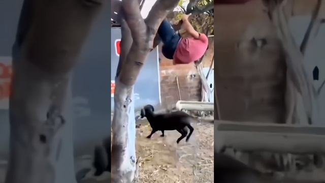 АстроЮмор