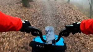 2 копейки про Brompton