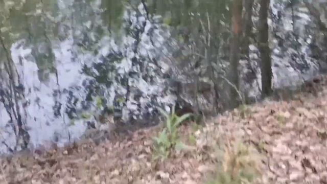 Путешествие в сказку?♀️?♀️?♂️ смотреть онлайн