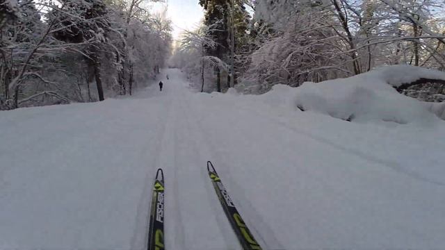 Сегодня трасса ОГОНЬ! Лыжероллерная трасса Одинцово 01.02.2018 смотреть онлайн
