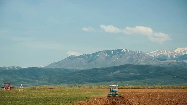 Подготовка почвы под посадку винограда смотреть онлайн