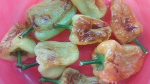 Жареный болгарский перец в томатном соусе на сковороде