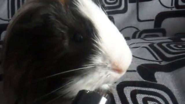 SAM 6305 смотреть онлайн