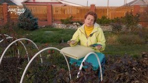 НИ ОДНА РОЗА НЕ ЗАМЕРЗНЕТ! Как проще всего укрыть розы на зиму?