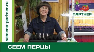 СЕЕМ ТОЛСТОСТЕННЫЙ ПЕРЕЦ Требия F1 и Халиф F1