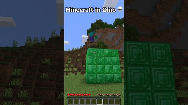 Can't even play Minecraft in Ohio ?(part 5) #shorts #minecraft #ohio смотреть онлайн