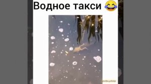 Водное такси