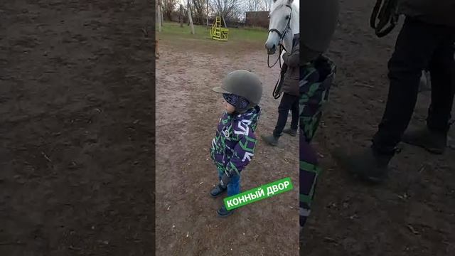 КОННЫЙ ДВОР ВЯЗКИ #shorts