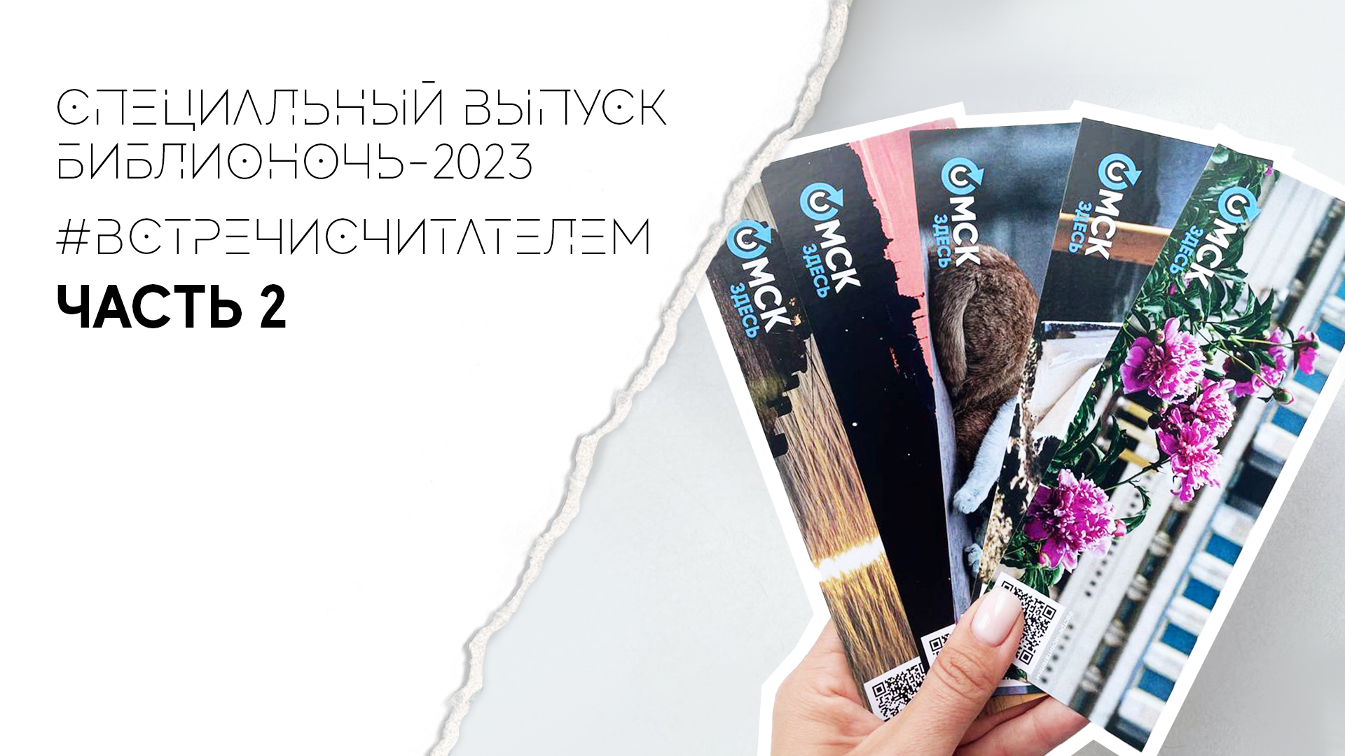 Спецвыпуск «Библионочь-2023». Часть 2 | #встречисчитателем