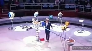 Влог. В цирке дикая планета ?