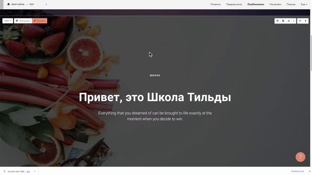 Бесплатный курс: Тильда за 30 минут. Урок 3 — Редактор блоков Тильды
