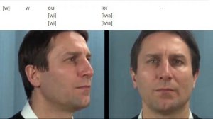 Полугласные звуки французского языка  .Фонетическая транскрипция: МФА & ФФА