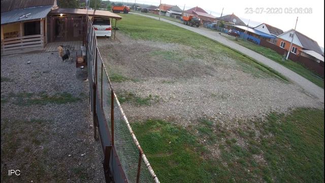 Кто все таки устроил беспорядок! Разоблачение. Волк/Дворняжка/Питбуль/Кот. смотреть онлайн