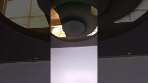 турбо сушилка для рыбы