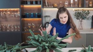 ЧУДЕСНАЯ новогодняя композиция из веток нобилиса | Праздничный декор для дома