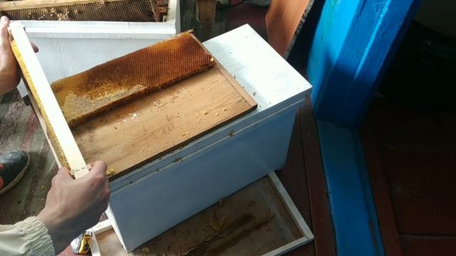 ПЕРЕХОД НА РАМКУ 145 ЗА ДВА ДНЯ.  BEEKEEPING. ПЧЕЛОВОДСТВО.