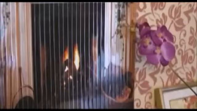 применение инфракрасных обогревателей №26 смотреть онлайн