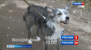 ГТРК СЛАВИЯ Анонс ВЗН 12.04.24