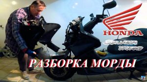Разборка морды Honda Silverwing 600 #ЛёхаЛис