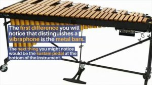 Difference Between MARIMBA, XYLOPHONE, VIBRAPHONE, GLOCKENSPIEL