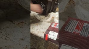 Установка поршневых колец и поршней на двигатель д 245
