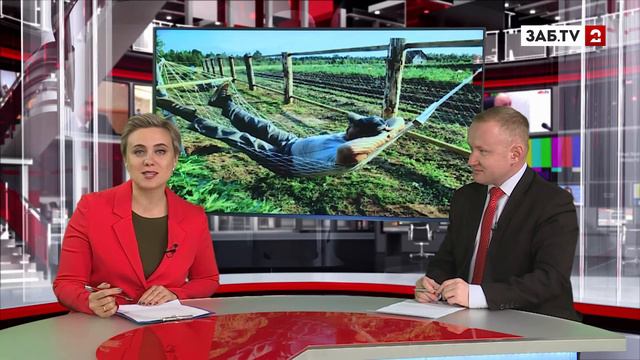 Экономический ликбез: читинцы предпочитают брать отпуск деньгами смотреть онлайн