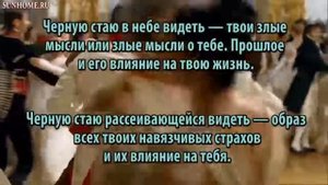 К чему снятся Черные птицы сонник, толкование сна