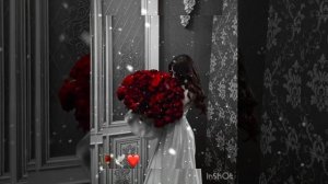 Цыганская песня 2023(года) Каралева?цветов⚜️мая роза???