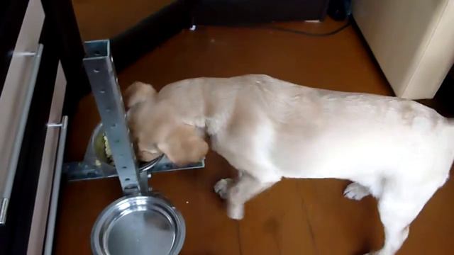 Можно ,нельзя смотреть онлайн