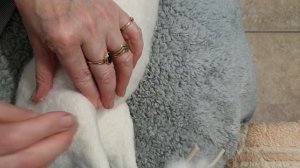 валяние лошади