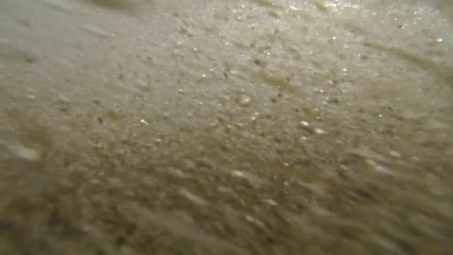 What to Do when you're Bored! смотреть онлайн