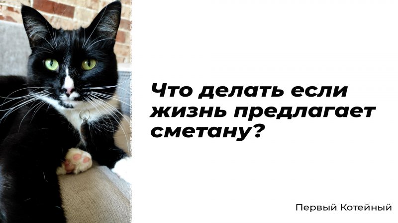 Что делать если жизнь предлагает сметану? ?