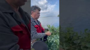 КАК ПРАВИЛЬНО ВЯЗАТЬ БЕРЕЗОВЫЕ ВЕНИКИ!!!