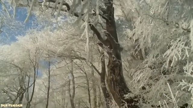 Андрей Дрюня - Первый снег (Cover Рома Жуков) смотреть онлайн