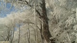 Андрей Дрюня  - Первый снег (Cover Рома Жуков)