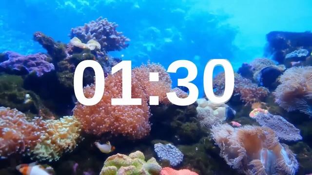 3 Minute Timer Relaxing Music Lofi Fish Background смотреть онлайн