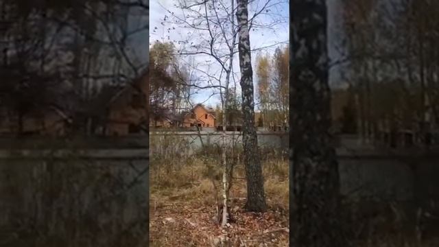 Продается участок Раменский гор. округ Прогресс КП смотреть онлайн