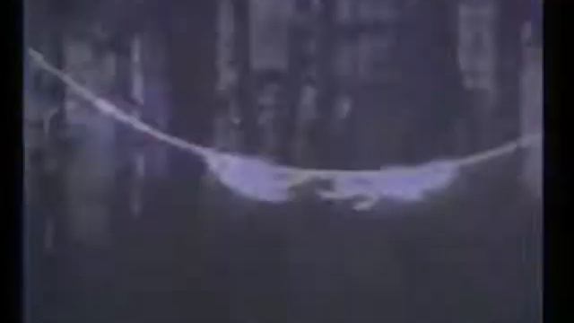 Я хотел бы знать с чем мы имеем дело