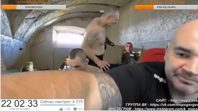 Стрим Мопса 29 07 17 смотреть онлайн