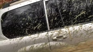 #SKrdOffroad Пробки в лесу 20 машин на бездорожье Впервые вытягивали Красную на тросу Патрол на 42"