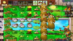 КОШКАМЫШИ - ИМБА! Выживание в БАССЕЙНЕ в Игре РАСТЕНИЯ против ЗОМБИ Plants vs Zombies от Cool GAMES