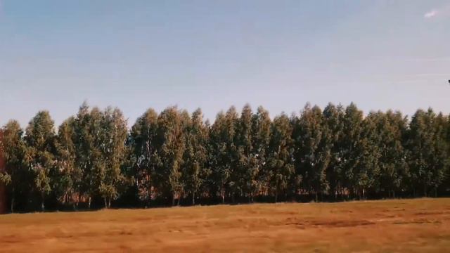 КАК МЫ ОТДЫХАЛИ В НУГУШЕ | Отдых | 2022 ВЛОГ 🧙♂️  #нугуш #башкирия #отдых2022