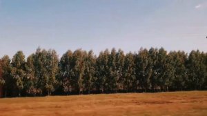 КАК МЫ ОТДЫХАЛИ В НУГУШЕ | Отдых | 2022 ВЛОГ 🧙♂️ #нугуш #башкирия #отдых2022