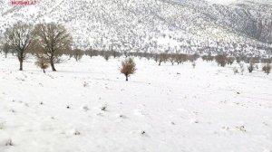 The departure of the nomadic weight engineer to find Ruqiya and Haditha on a snowy day