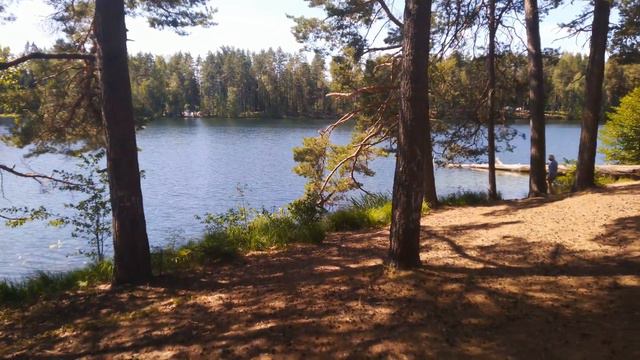 Черепово, Жеребенец, Полибино смотреть онлайн