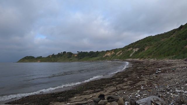 К морю, в дикую бухту. смотреть онлайн