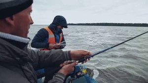 Ловля трофейного жереха на Волге. Рыбалка август 2015. Втрой сезон, 2 серия.