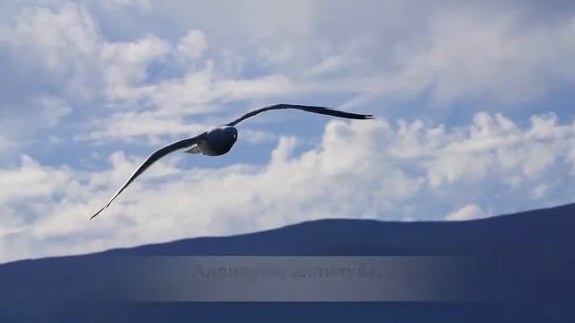 Спасибо Бог за лунный свет. Аллилуйя. фонограмма+текст смотреть онлайн